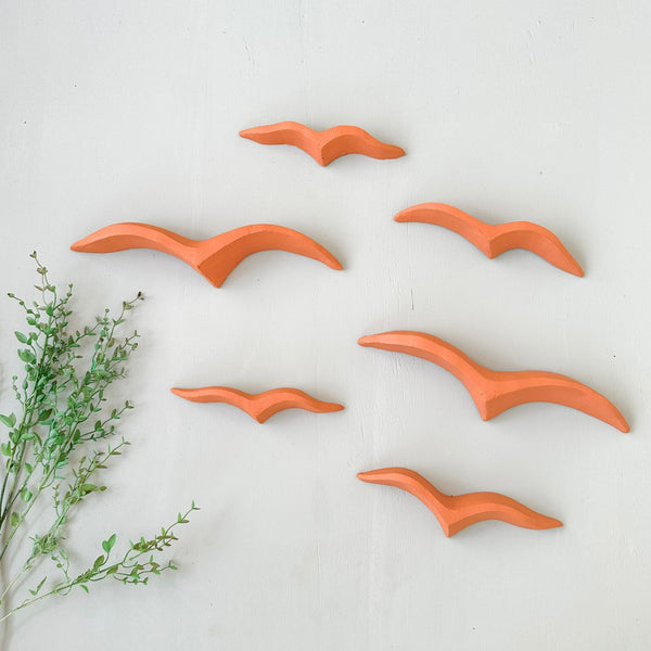 Dupla de gaivotas - Nildo de Zezinho