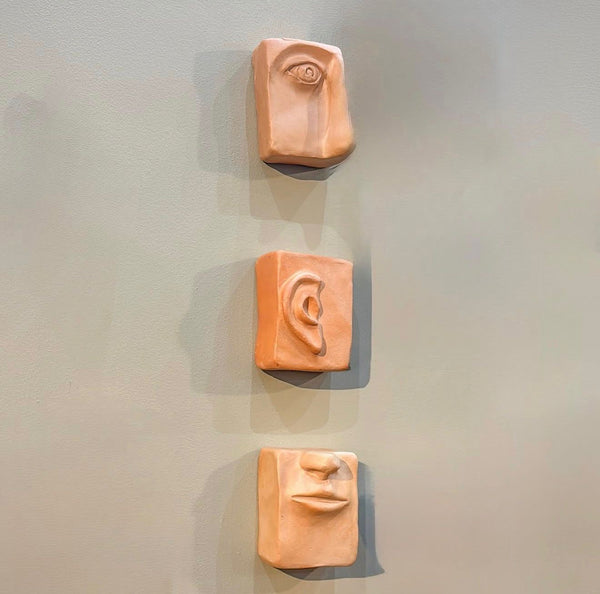 Trio de Sentidos- Nildo de Zezinho