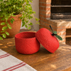 Cesta Decorativa Colombiana Maçã