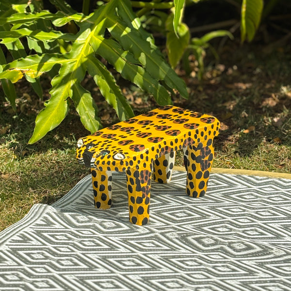 Tapete Africano - Casa
