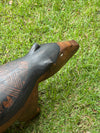 Banco Indígena Xingu - Capivara