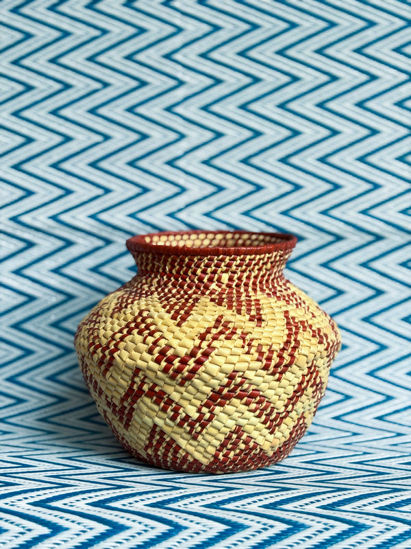 Vaso de Palha de Tucumã M