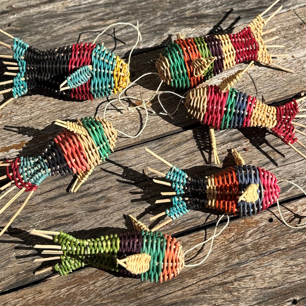 Kit 4 Mini Peixes Amazônicos