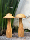 Cogumelo de madeira