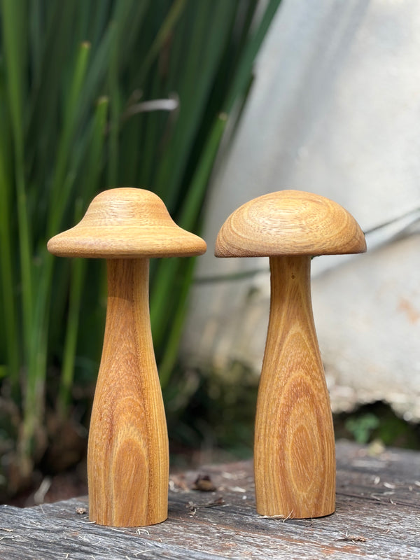 Cogumelo de madeira