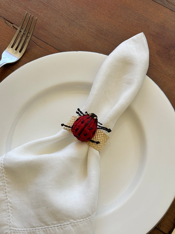 Kit Porta Guardanapo Colombiano Joaninha