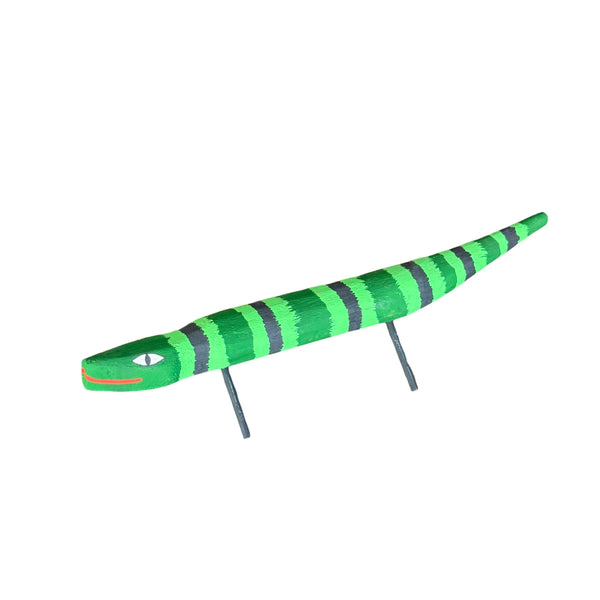Lagarto de Madeira Gledson  - Ilha do Ferro