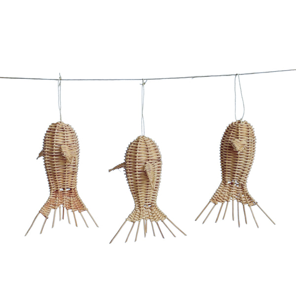 Kit 3 Mini Peixes Amazônicos