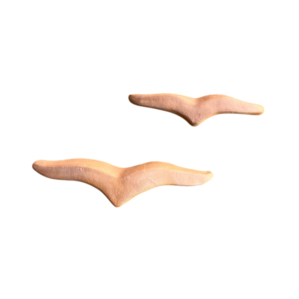 Dupla de gaivotas - Nildo de Zezinho