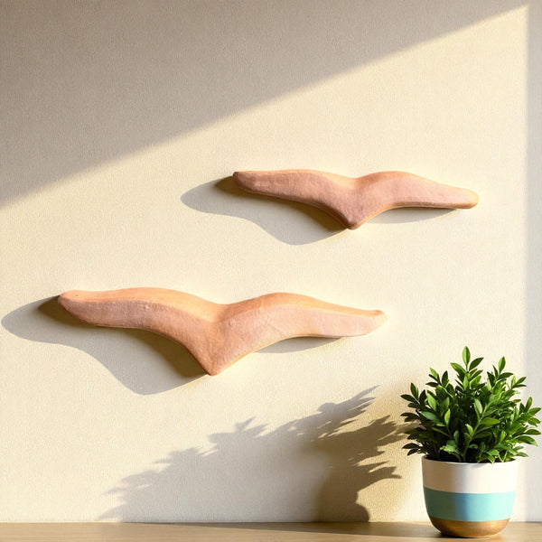 Dupla de gaivotas - Nildo de Zezinho