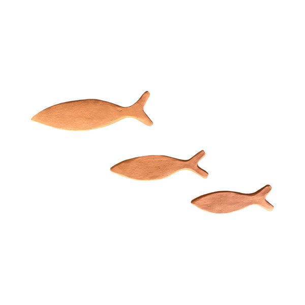 Cardume de peixes - Nildo de Zezinho