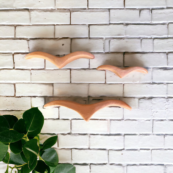 Dupla de gaivotas - Nildo de Zezinho