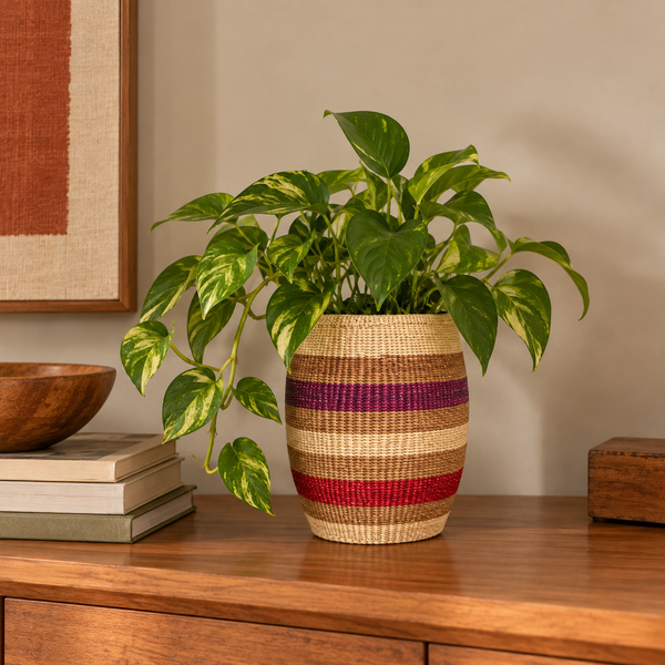 Vaso Decorativo Cachepo Colombiano
