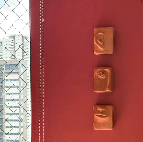 Trio de Sentidos- Nildo de Zezinho