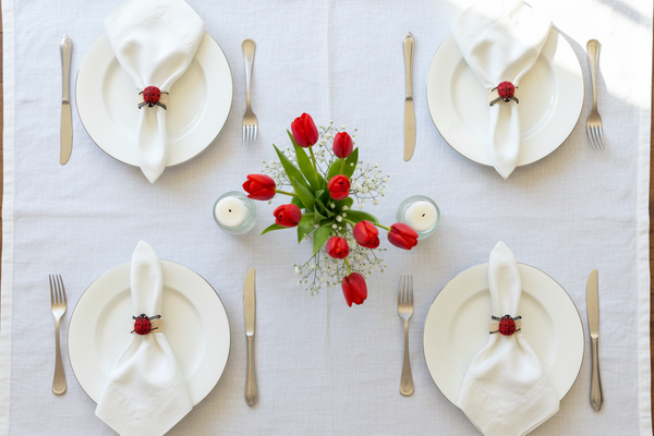 Kit Porta Guardanapo Colombiano Joaninha